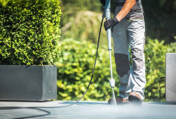 Best Animal Enclosure Cleaning  in Lonsdale, MN
